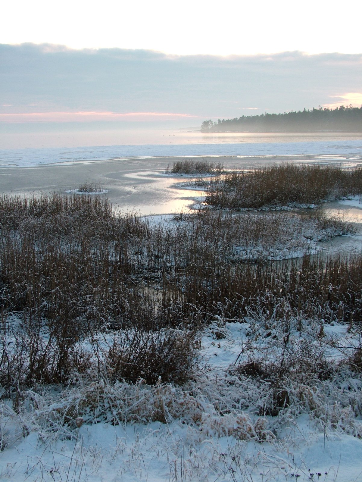 Sundsnäset mellan Furillen och Lergrav, Gotland, Sverige | Furillen in Sweden