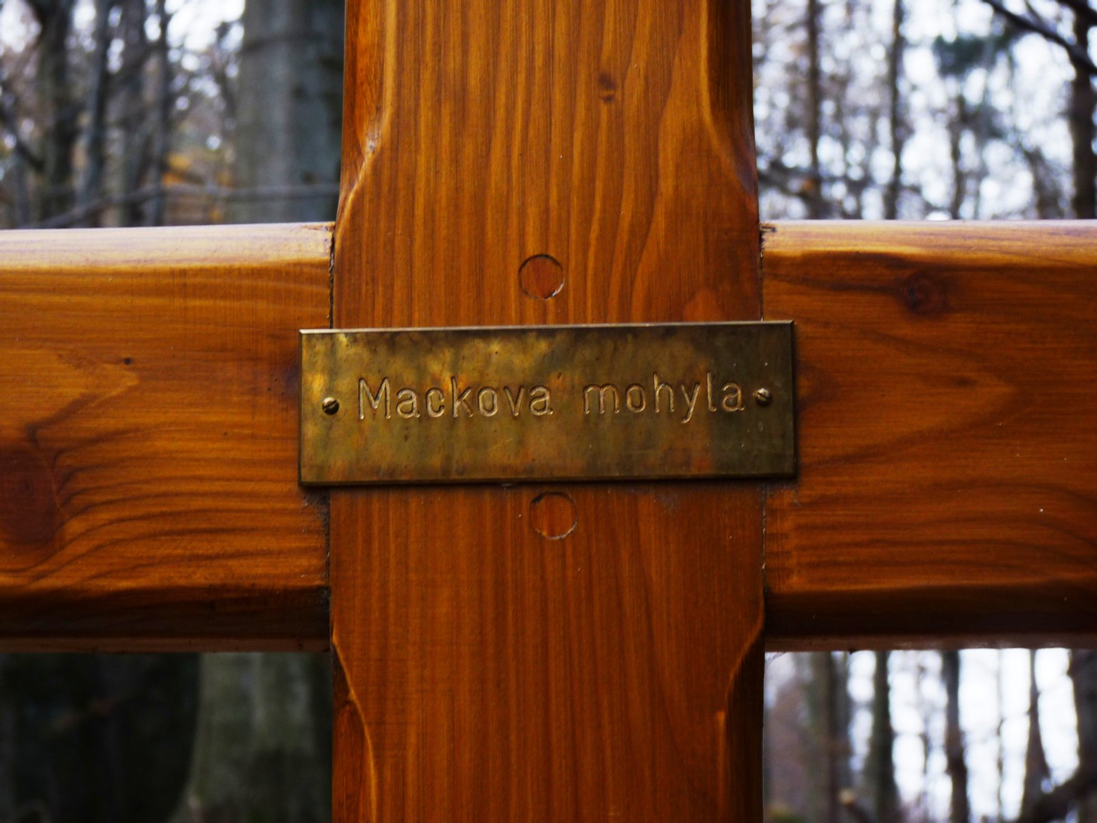 Mackova mohyla - detail | Jizerskohorské bučiny in Czechia