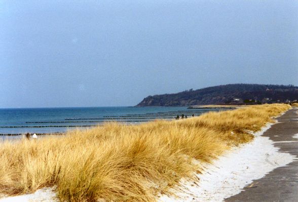 dunes on Hiddensee | Kirr in Germany