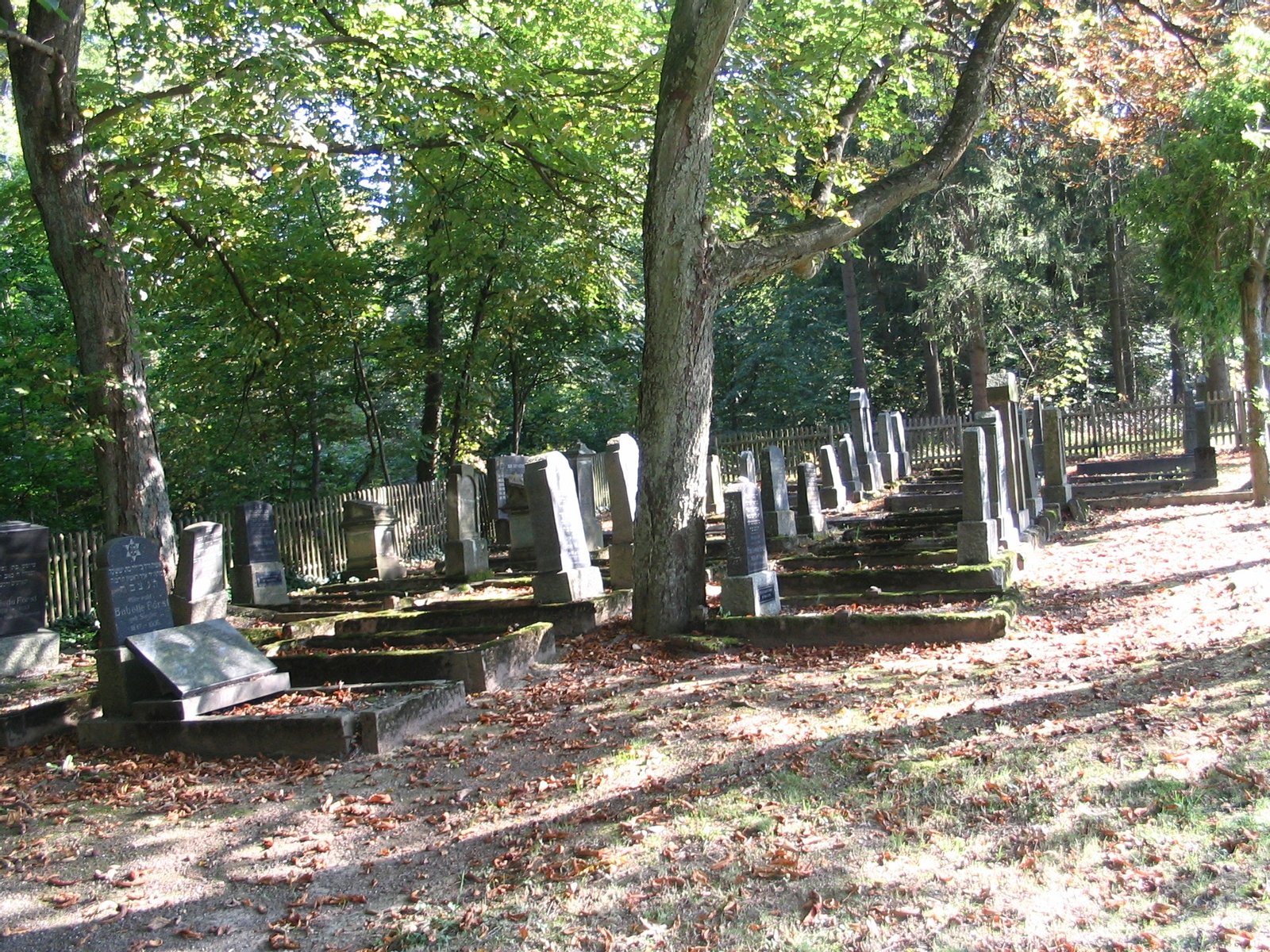 Jüdischer Friedhof in Kastellaun, Hunsrück | Kastellaun in Germany