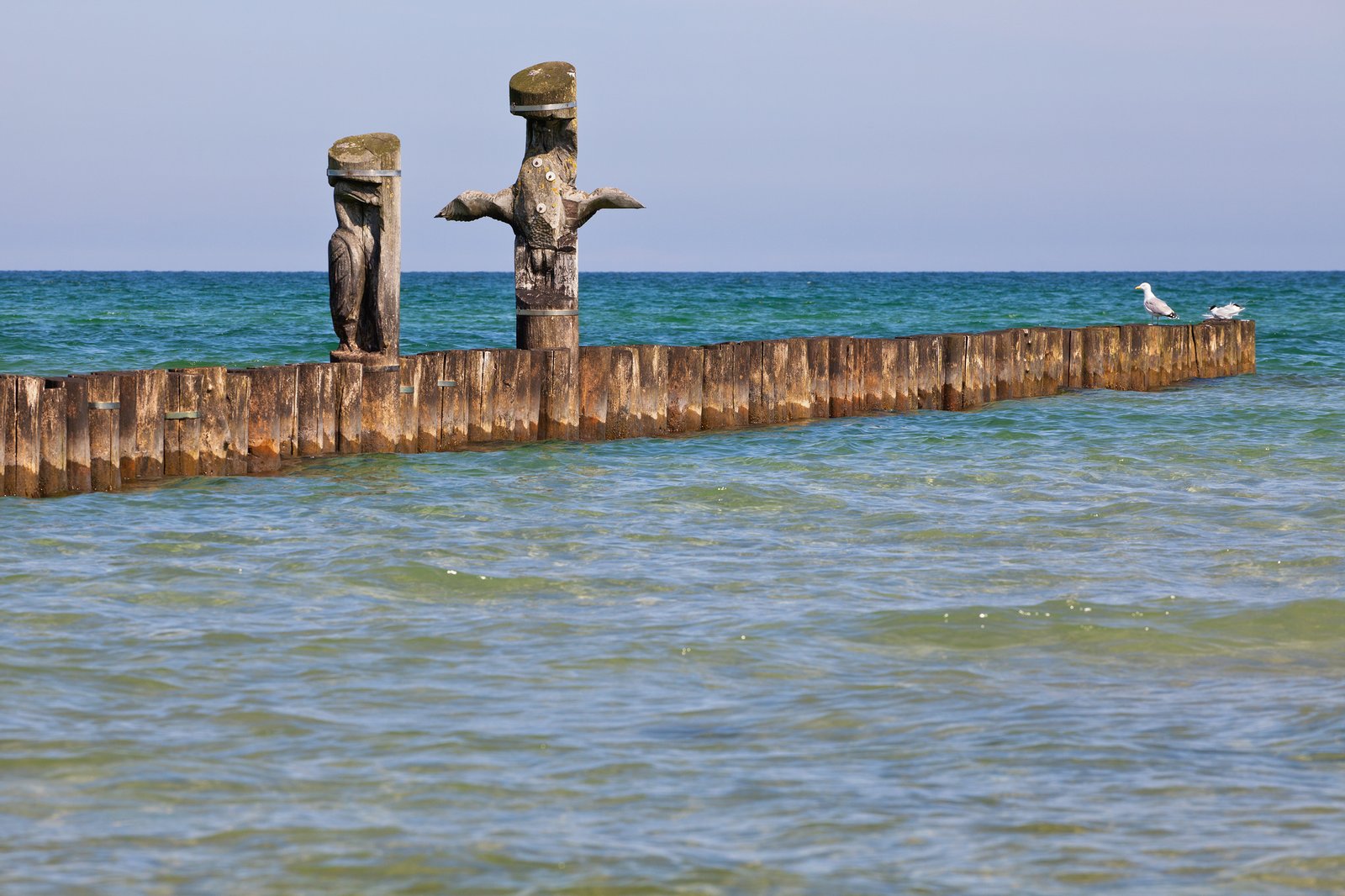Buhnen bei Zingst | Zingst in Germany
