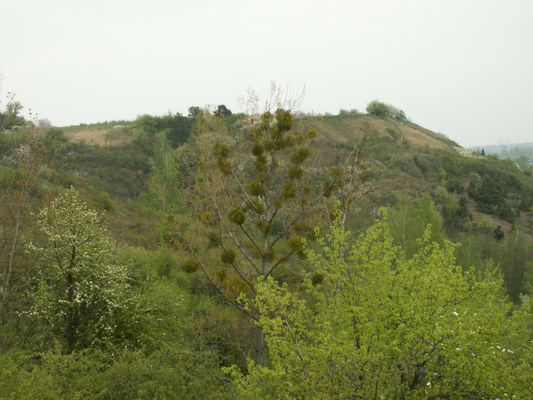 Image of Rezerwat Góry Pieprzowe in Poland