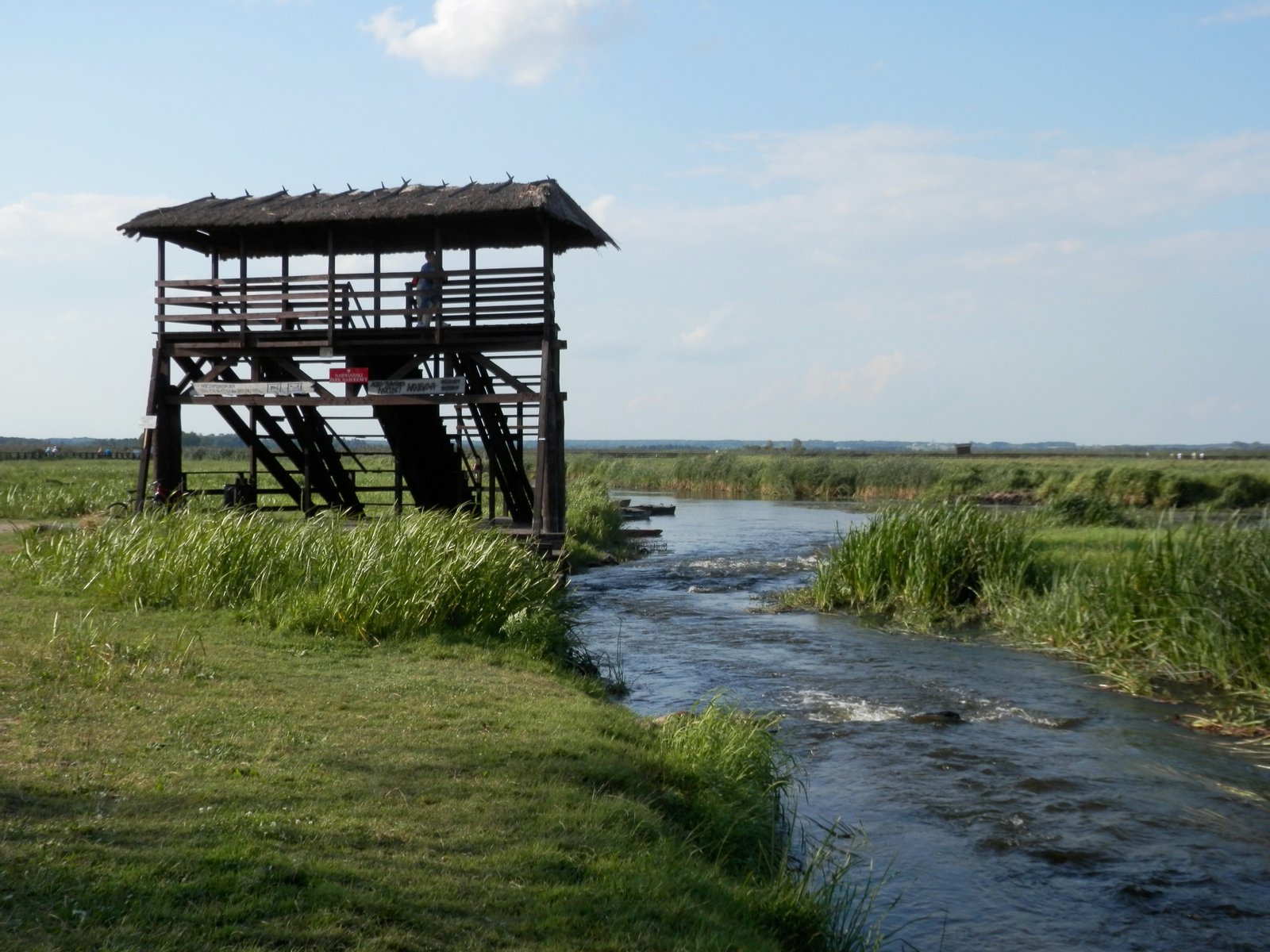 Rzeka Narew przepływająca przez Waniewo | Narwiański Park Narodowy in Poland