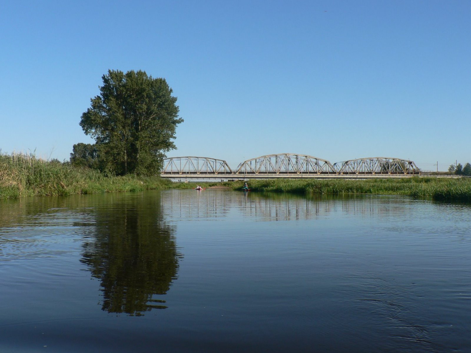 Narew w Uhowie | Narwiański Park Narodowy in Poland