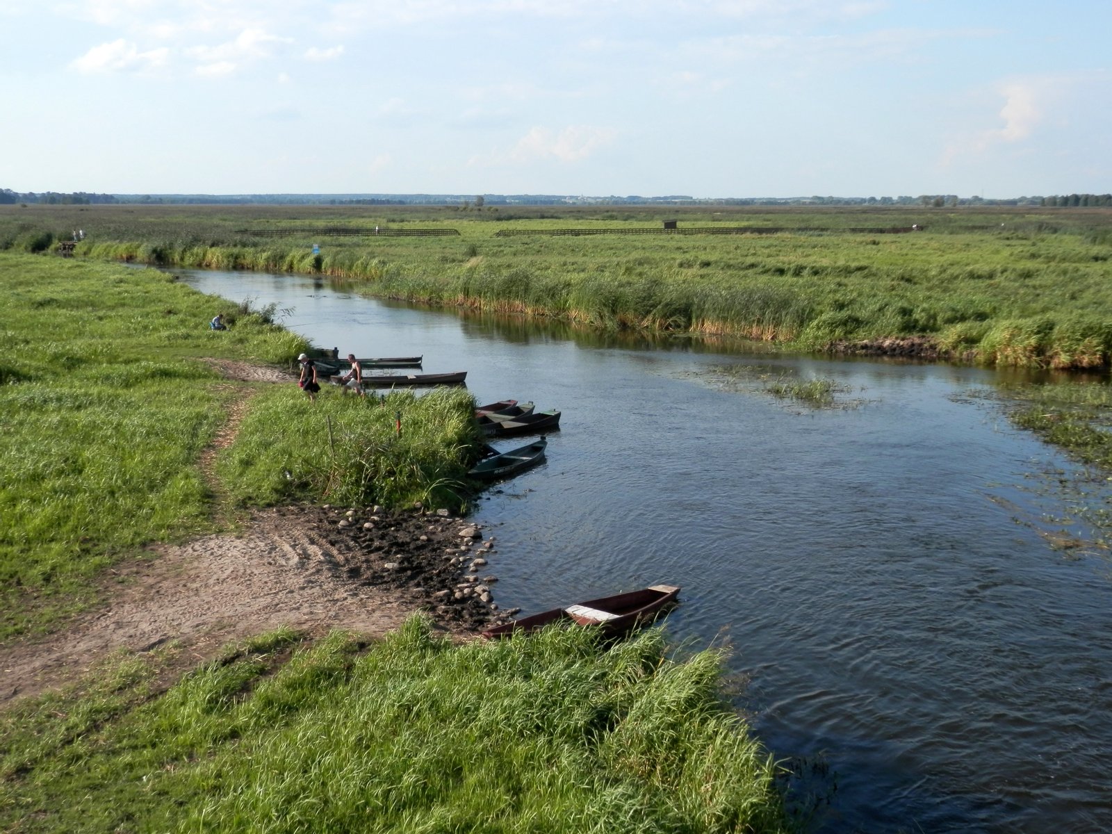 Rzeka Narew przepływająca przez Waniewo | Narwiański Park Narodowy in Poland
