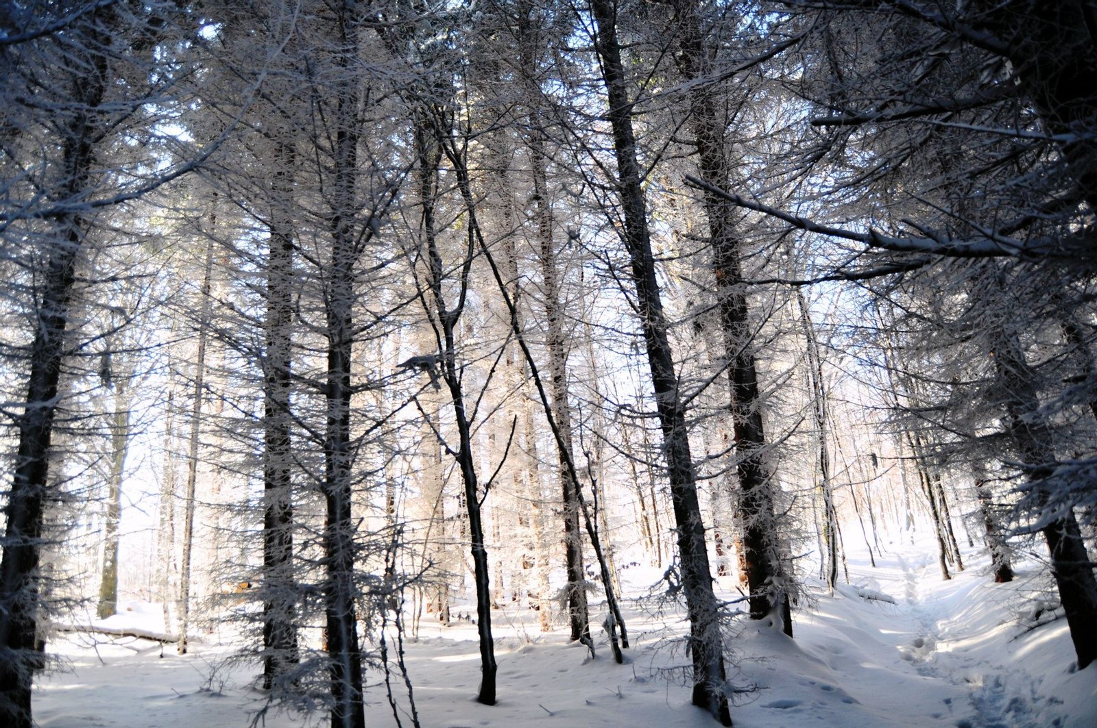 Park krajobrazowy Park Krajobrazowy Gór Sowich. | Park Krajobrazowy Gór Sowich in Poland