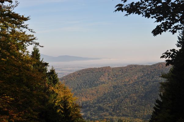 Image of Park Krajobrazowy Gór Sowich in Poland