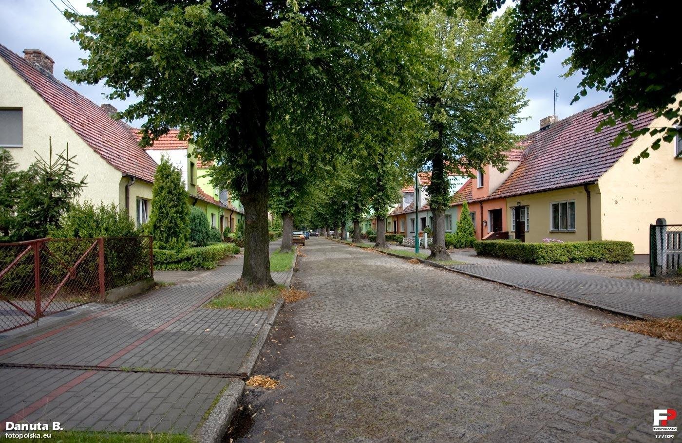 Ulica Lipowa obustronnie zabudowana jednorodzinnymi domami szeregowymi. Bardzo kameralna. | Zbąszynek in Poland