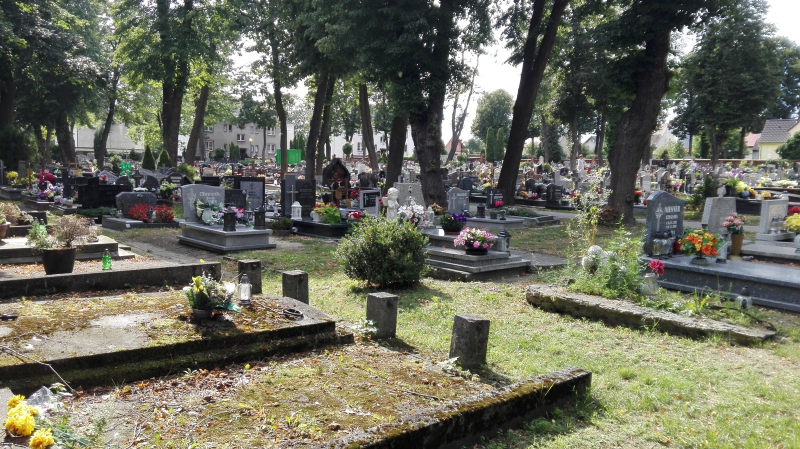 Ta fotografia przedstawia zabytek wpisany do rejestru zabytków pod numerem ID | Krapkowice in Poland
