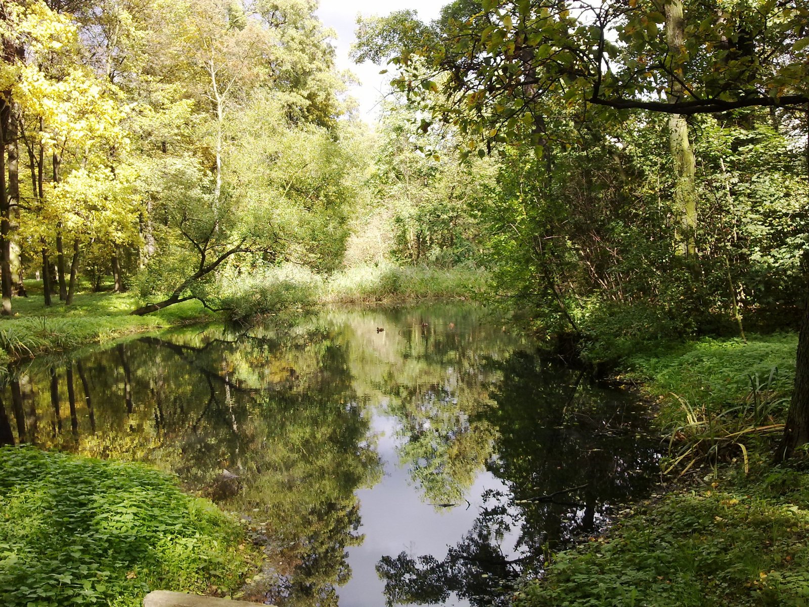 Łask, ul. Objazdowa - Park dworski, obecnie park miejski im. Rodu Łaskich (zabytek nr rejestr. 386 z 25.06.1990) | Łask in Poland