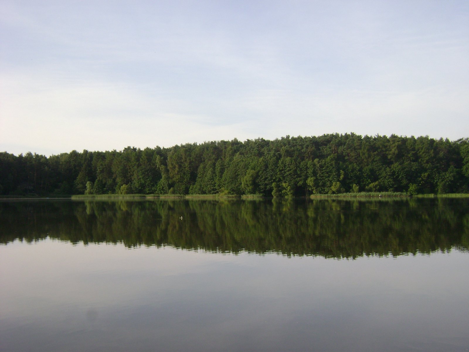 Skępe, Wielkie Lake | Skępe in Poland