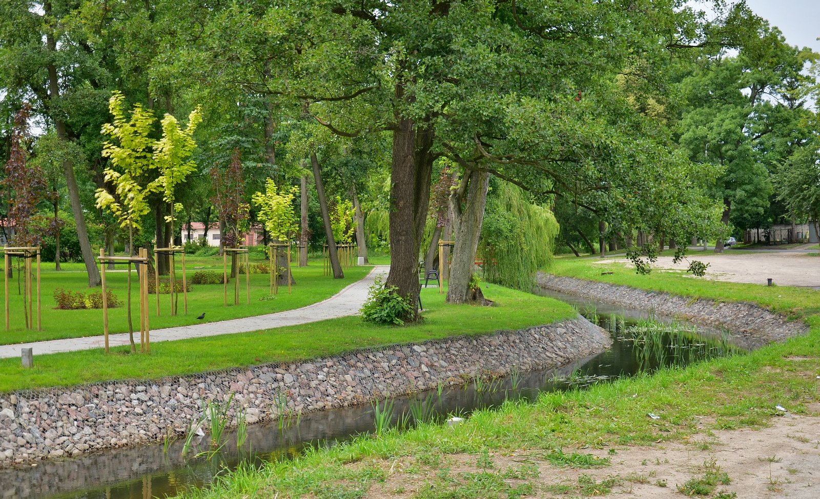 Rzeka Rypienica | Rypin in Poland