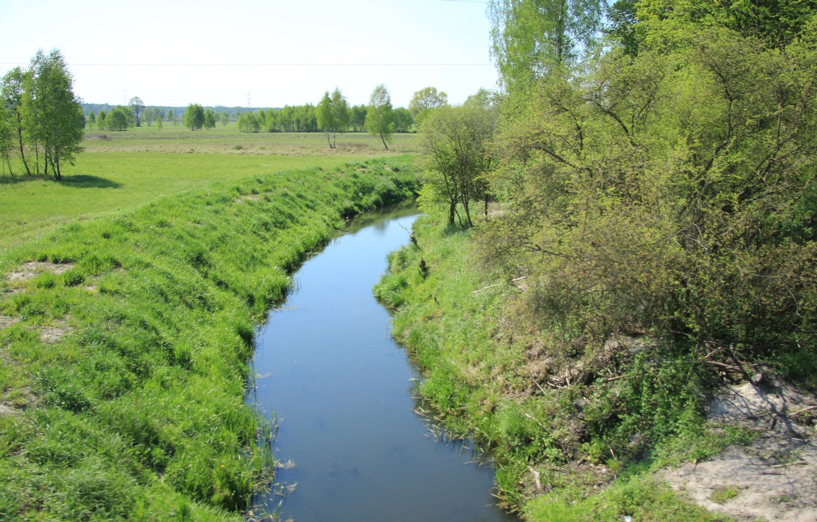 Beniaminówka - sztuczny ciek wodny k. Radzymina | Radzymin in Poland
