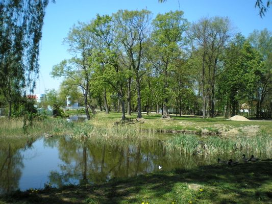 Częściowo zachowany park krajobrazowy z XVIII wieku | Radzymin in Poland