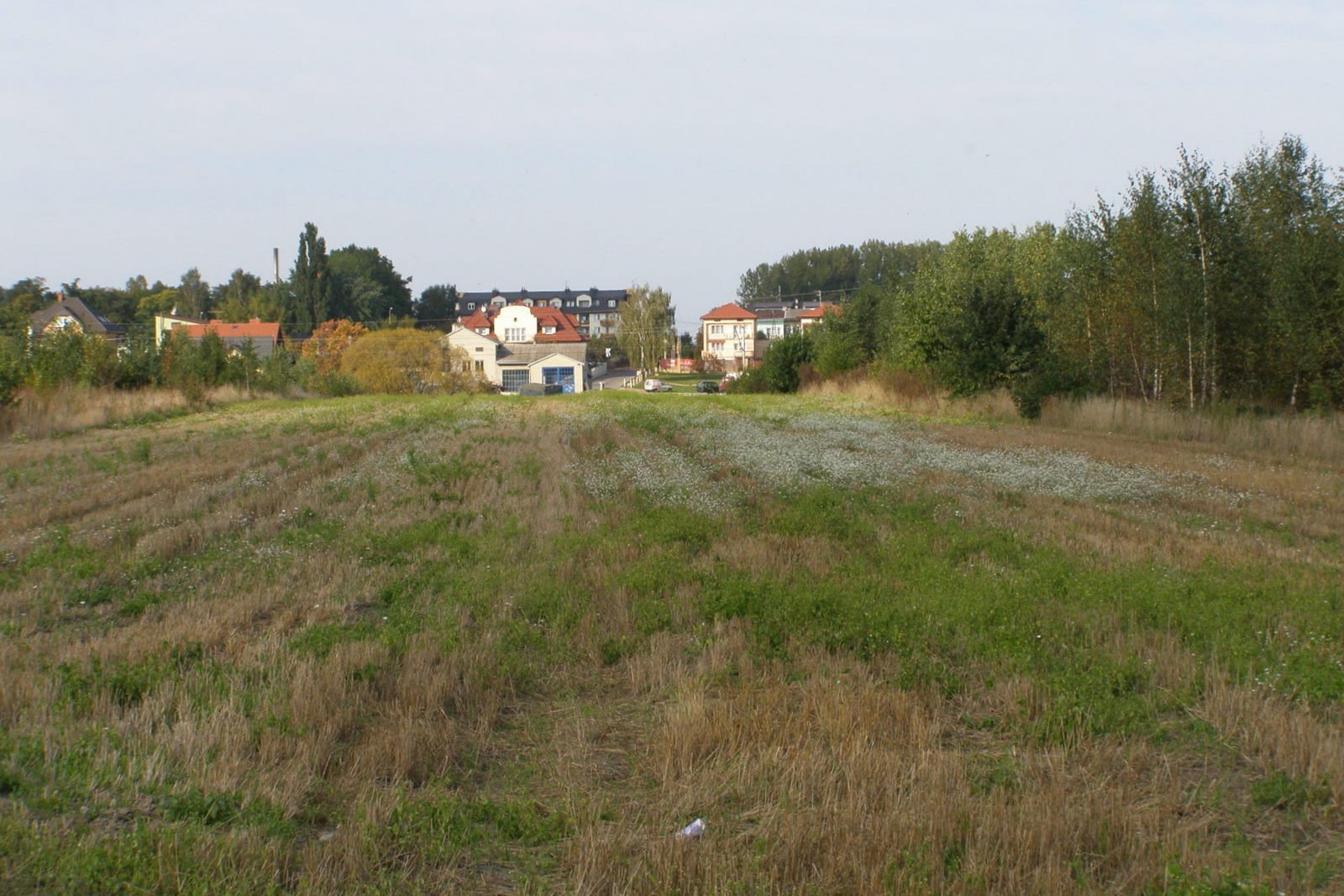 Field in Mińsk Mazowiecki / Pole w Mińsku Mazowieckim | Mińsk Mazowiecki in Poland