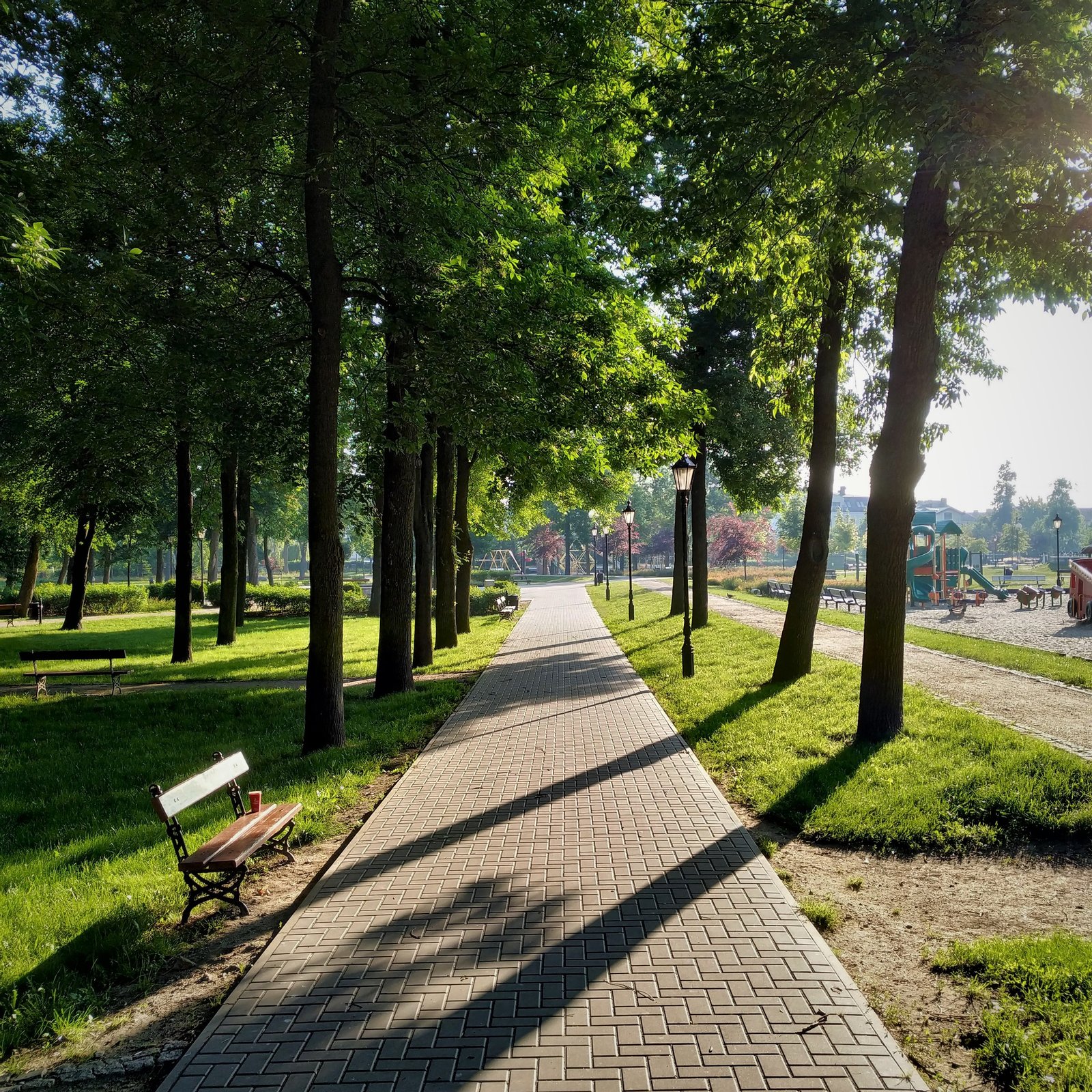 Park Miejski w Łukowie | Łuków in Poland
