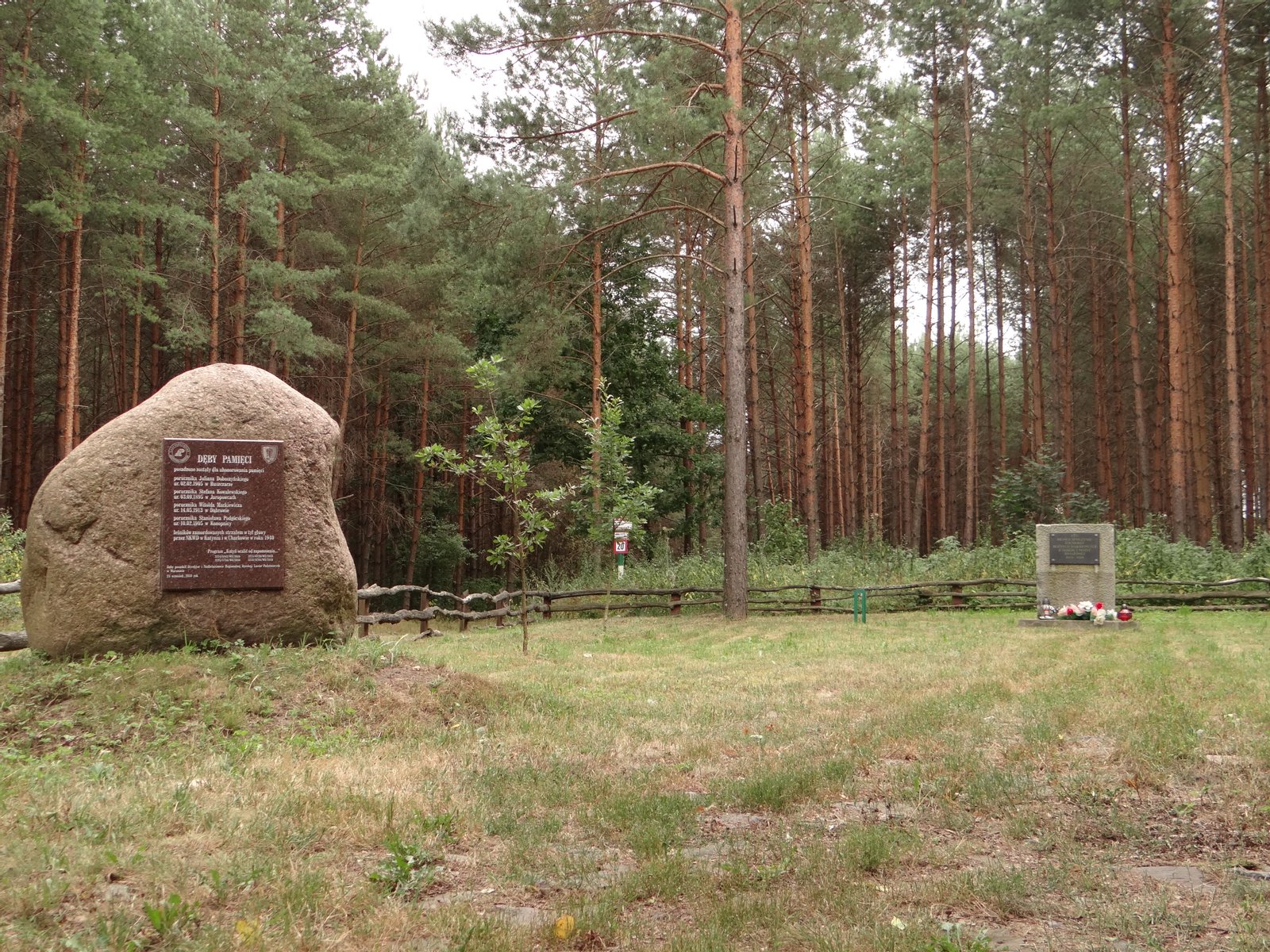 Cmentarzyk przy przesiece koło Broku nad Bugiem 2 | Brok in Poland