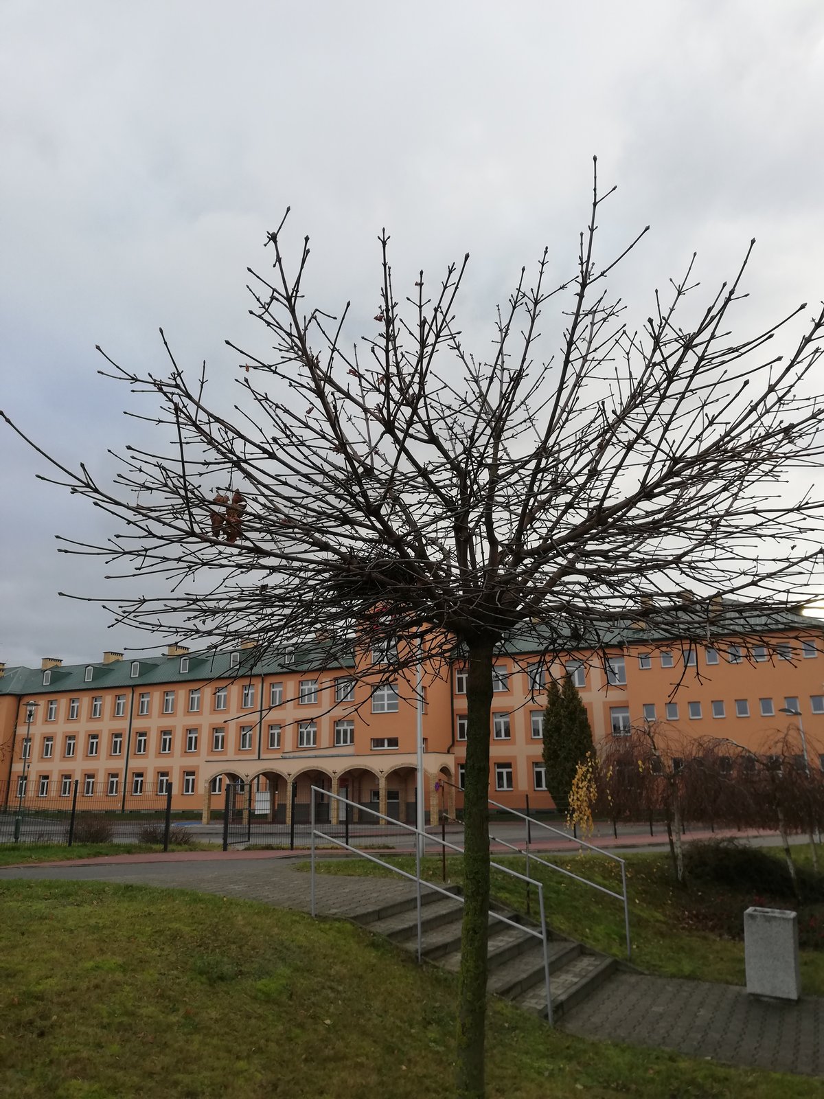 Building of Primary School nr 5 in Zambrów | Zambrów in Poland