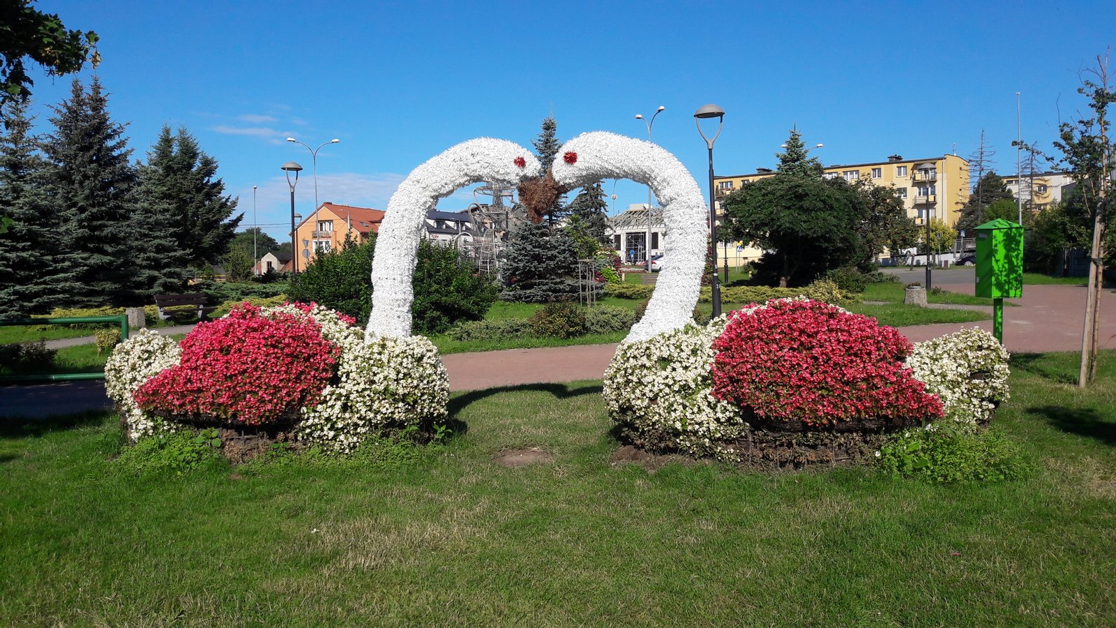 Łabędzie z kwiatów | Zambrów in Poland