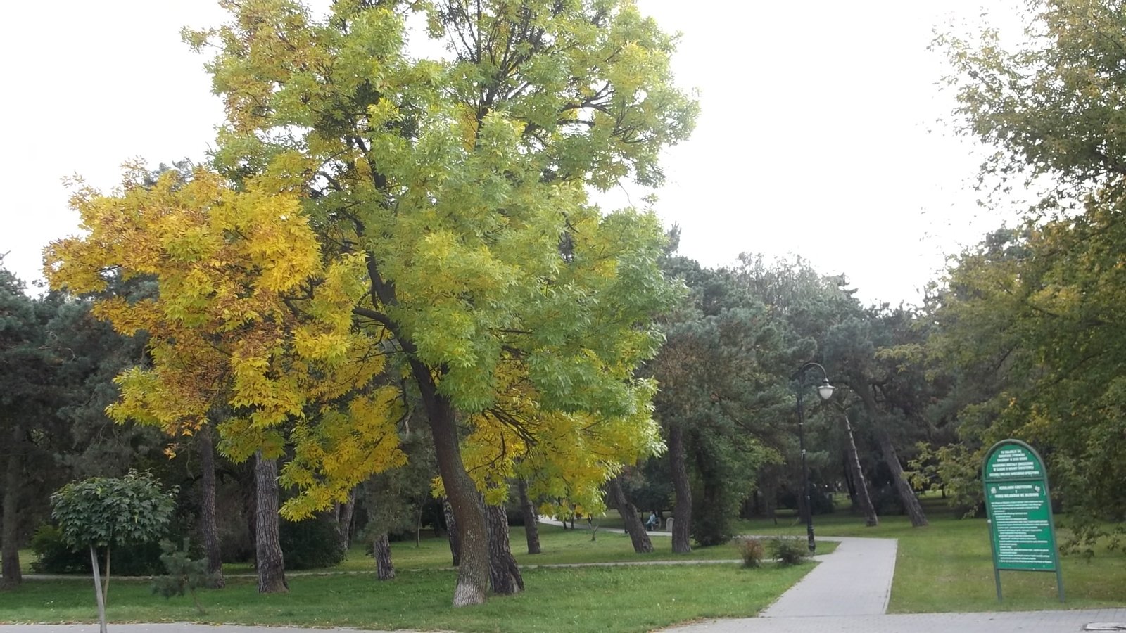 Włodawa, Cmentarz Żydowski, ob. Park Miejski | Włodawa in Poland