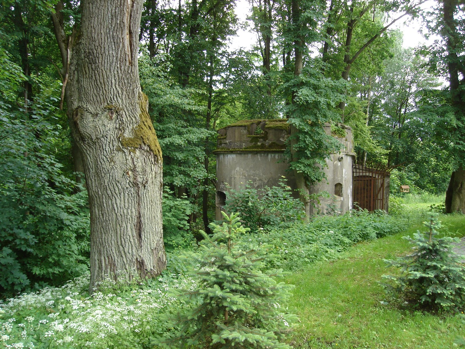 Bunkier koło kanału | Ruciane-Nida in Poland
