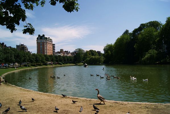 Image of Ixelles - Elsene in Belgium