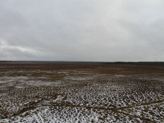 Image of Olvassuon luonnonpuisto in Finland