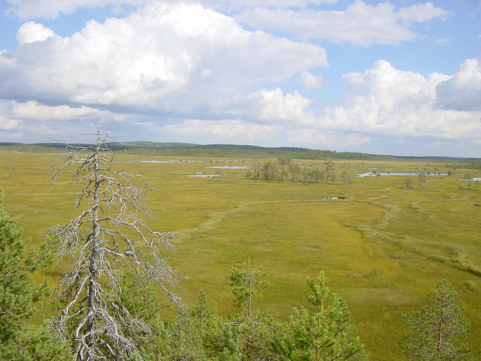 Soita Patvinsuon kansallispuistossa | Lieksa in Finland