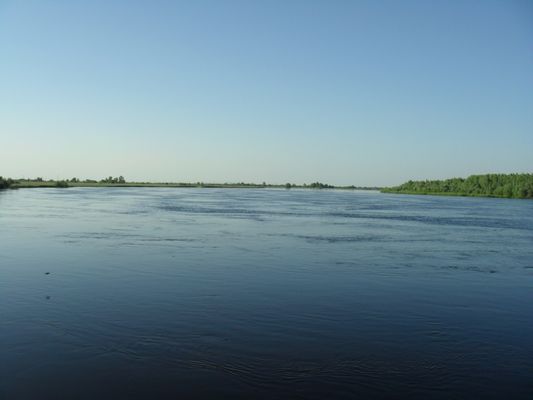 Image of Kamaryn in Belarus