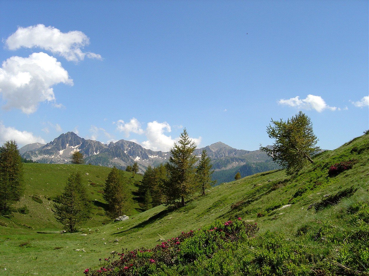 Vallon de Mollières - Parc du Mercantour - France - 2006-07-04 | Parc national du Mercantour in France