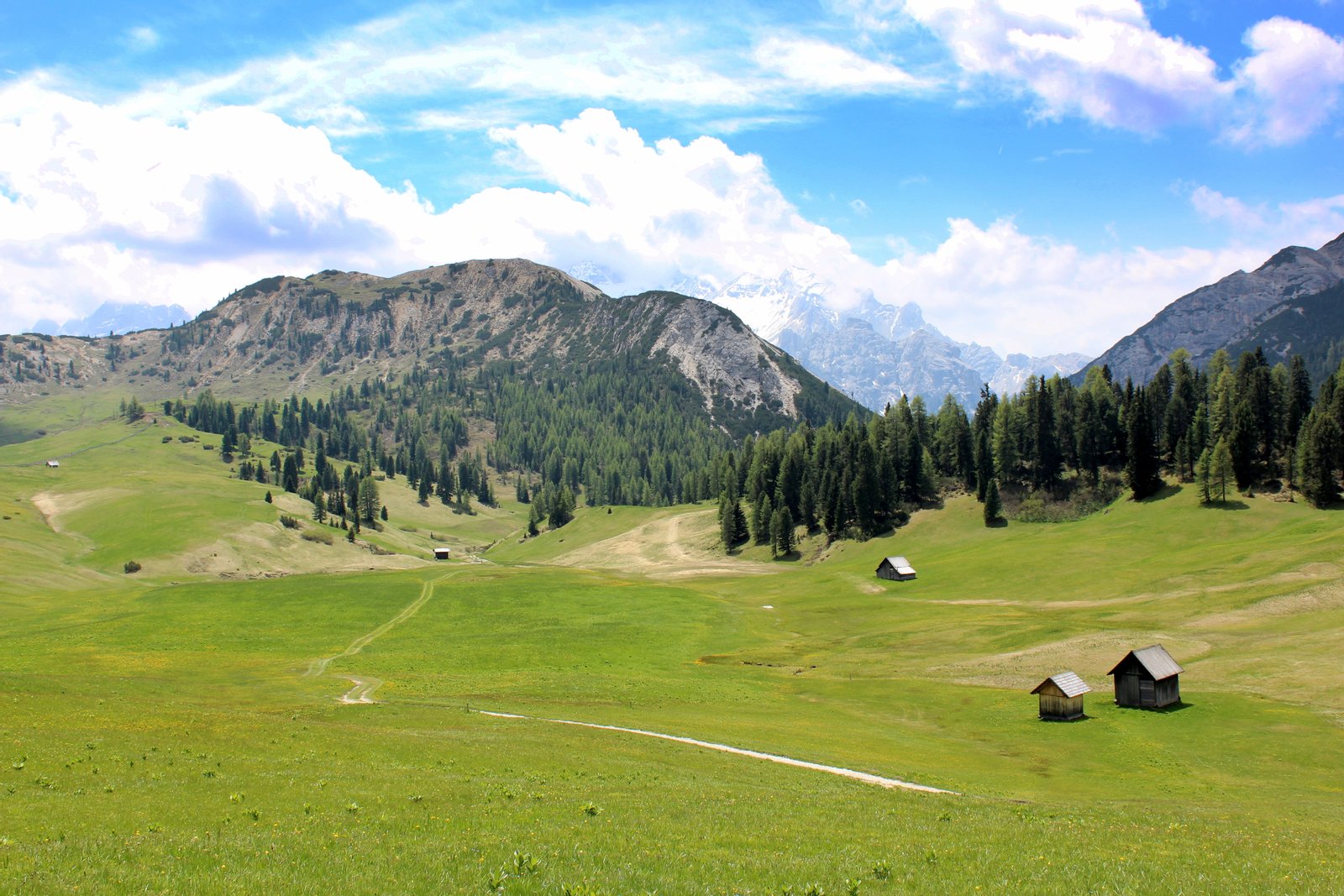 Plätzwiese | Naturpark Fanes-Sennes-Prags - Parco Naturale Fanes-Sennes-Braies in Italy