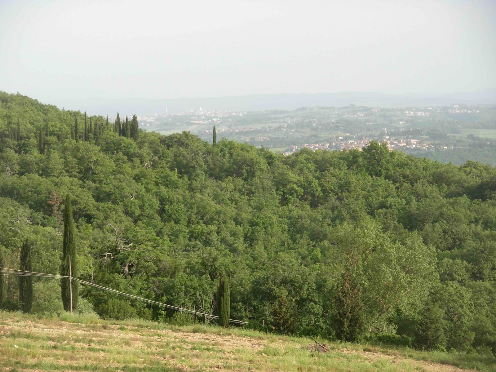 Fonterutoli (Castelina in Chianti - Siena - Italia): panorama da Fonterutoli | Fonterutoli in Italy
