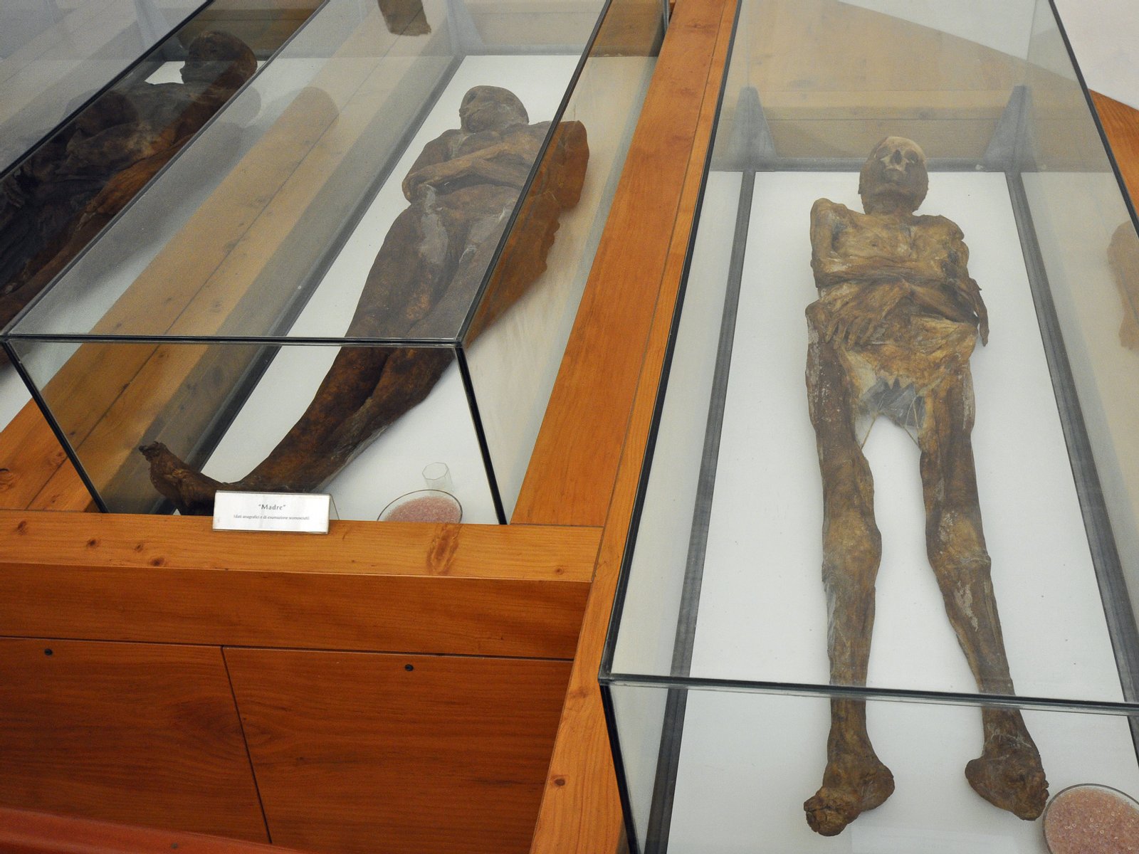 Mummie di Venzone, chiesetta San Michele. | Venzone in Italy