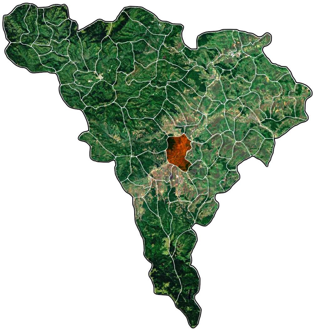 Alba Iulia jud Alba | Bradu in Romania