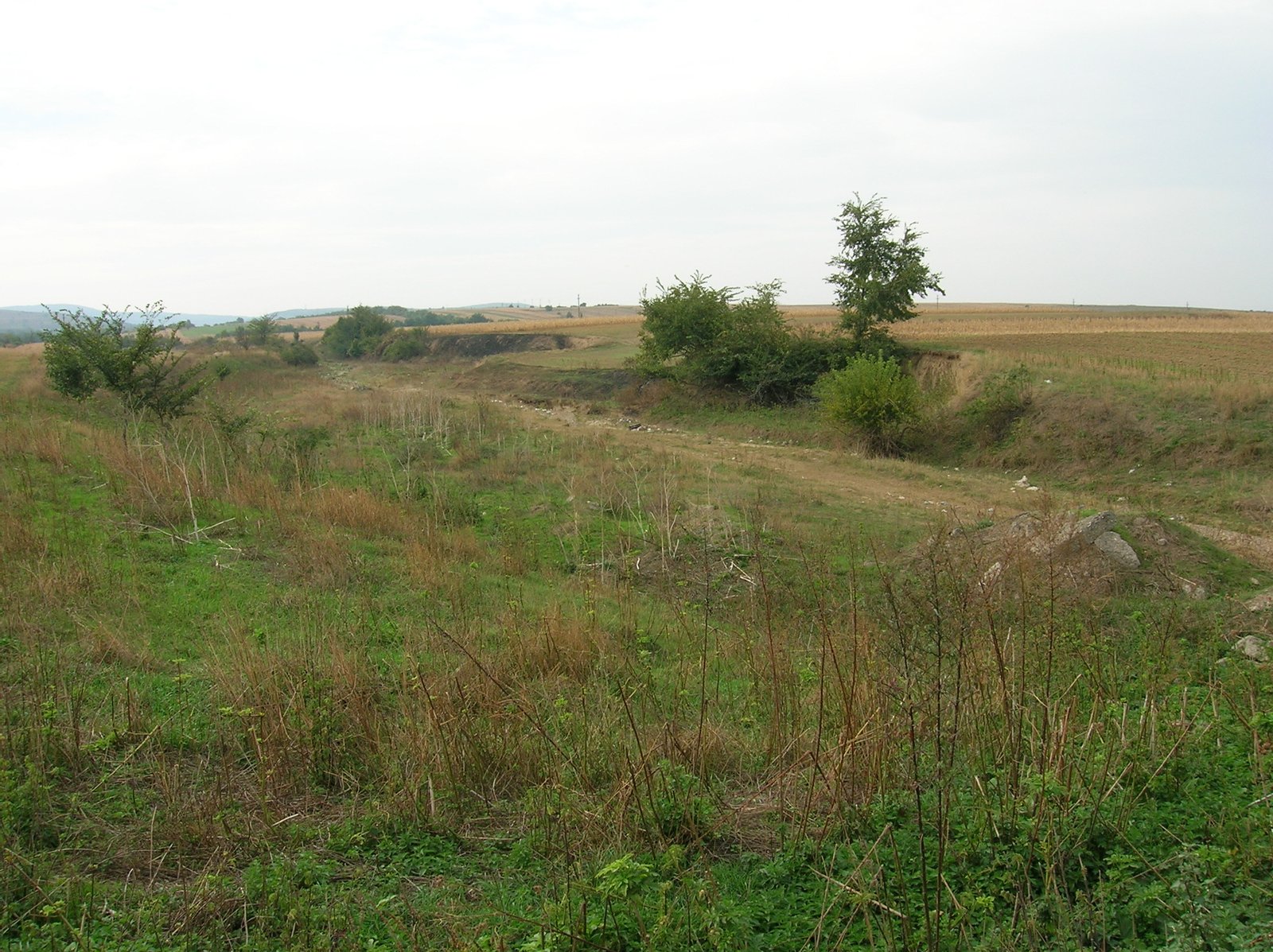 Comuna Valea Seacă Bacău - Satul Mândrişca - valea Văii Seci lângă DN2 | Valea Seacă in Romania