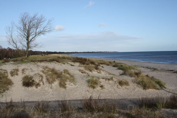 Beach and sand dunes at Marielyst, Falster, Denmark | Marielyst in Denmark