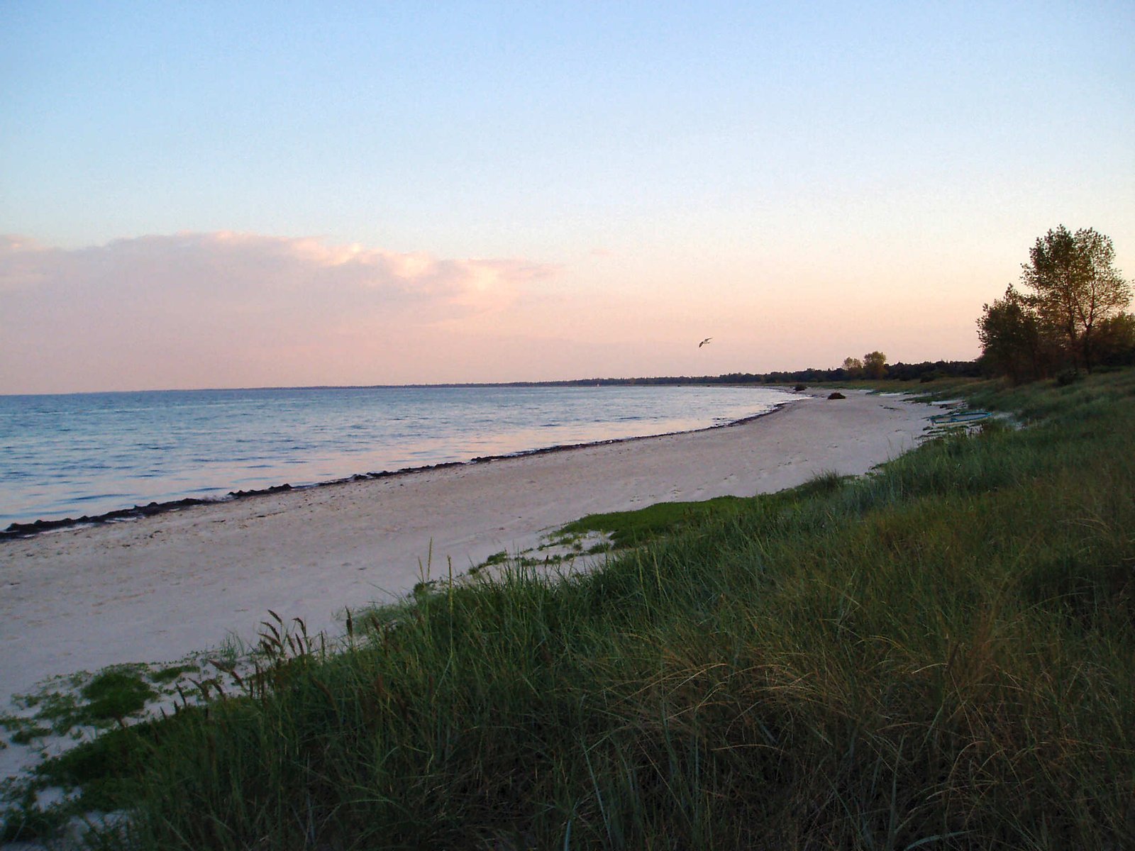 Strand von Marielyst, Falster, Dänemark. | Marielyst in Denmark