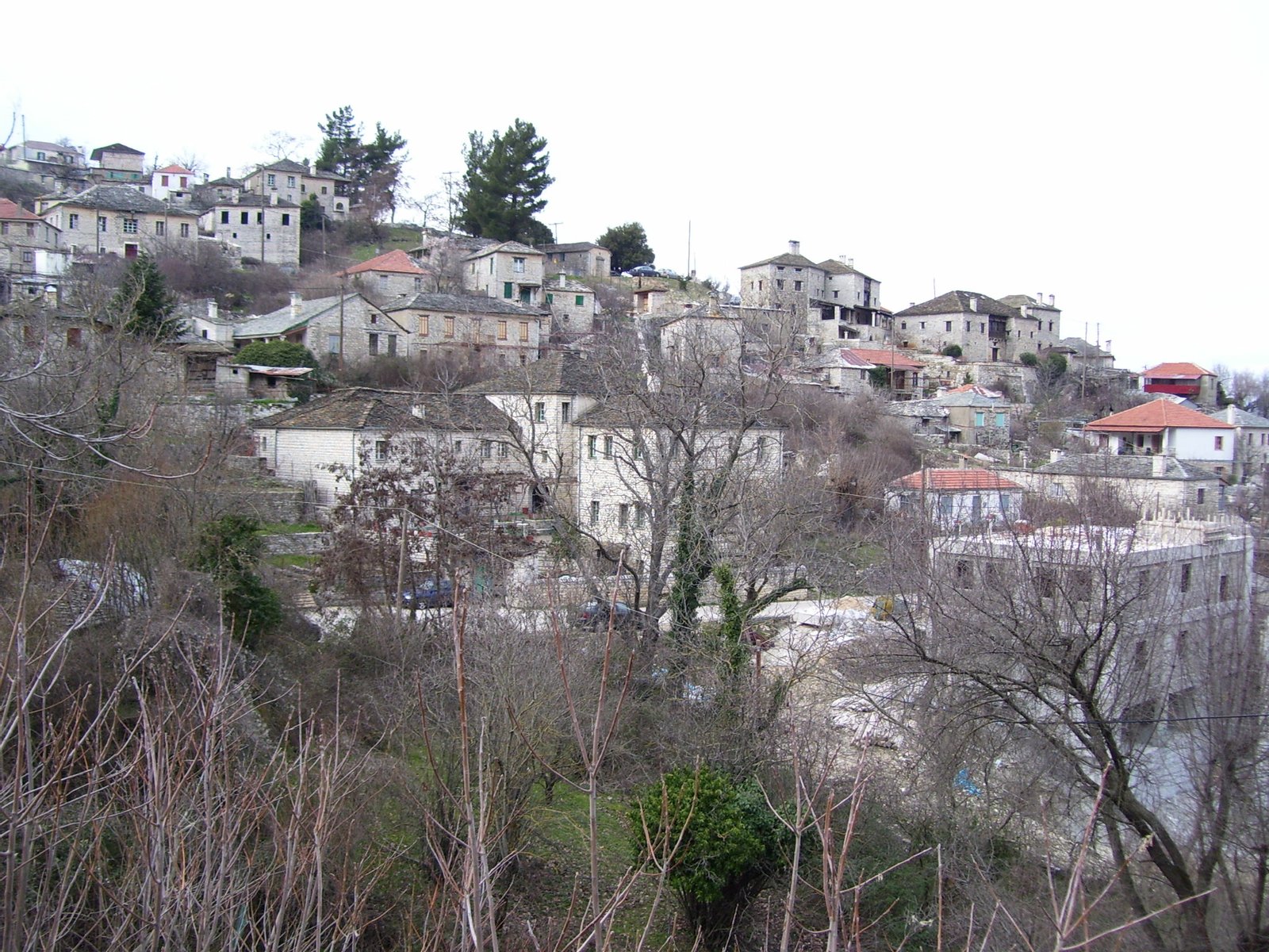 Village in Ioannina prefecture | Αρίστη in Greece