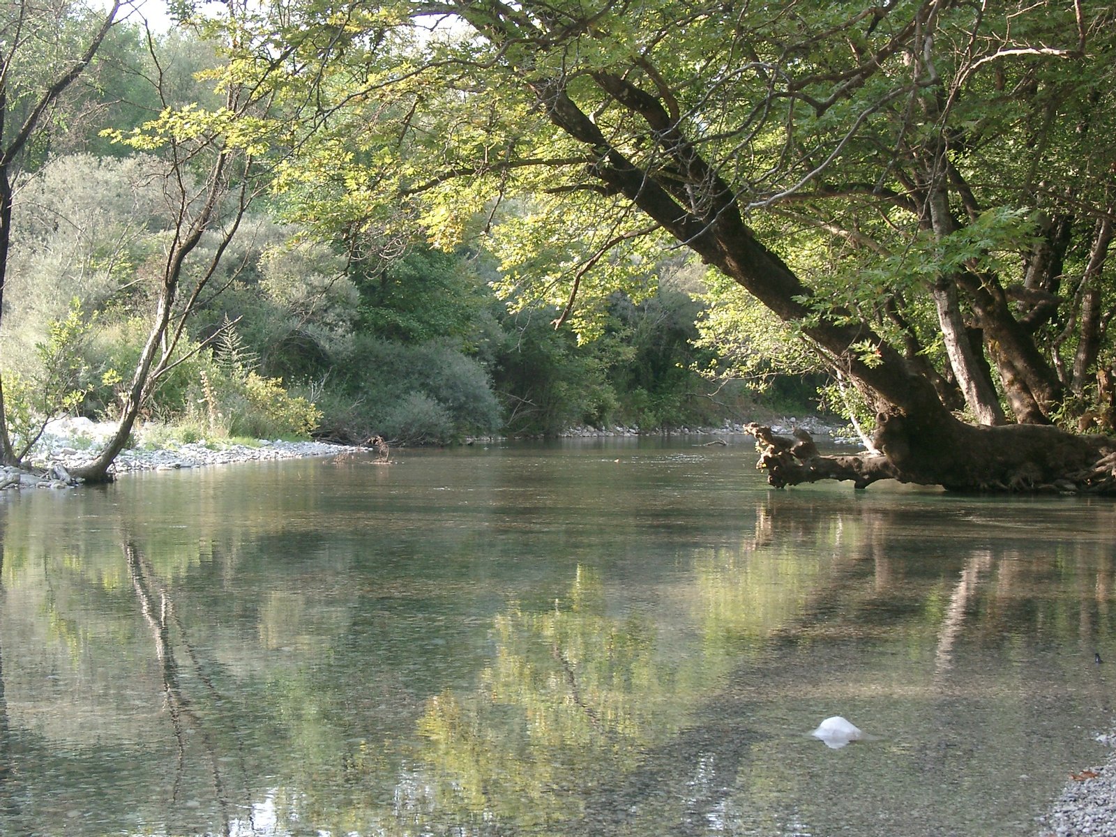 View on the river Vikos (Voidomatis), Ioannina prefecture, periphery of Epirus, Greece. | Πάπιγκο in Greece