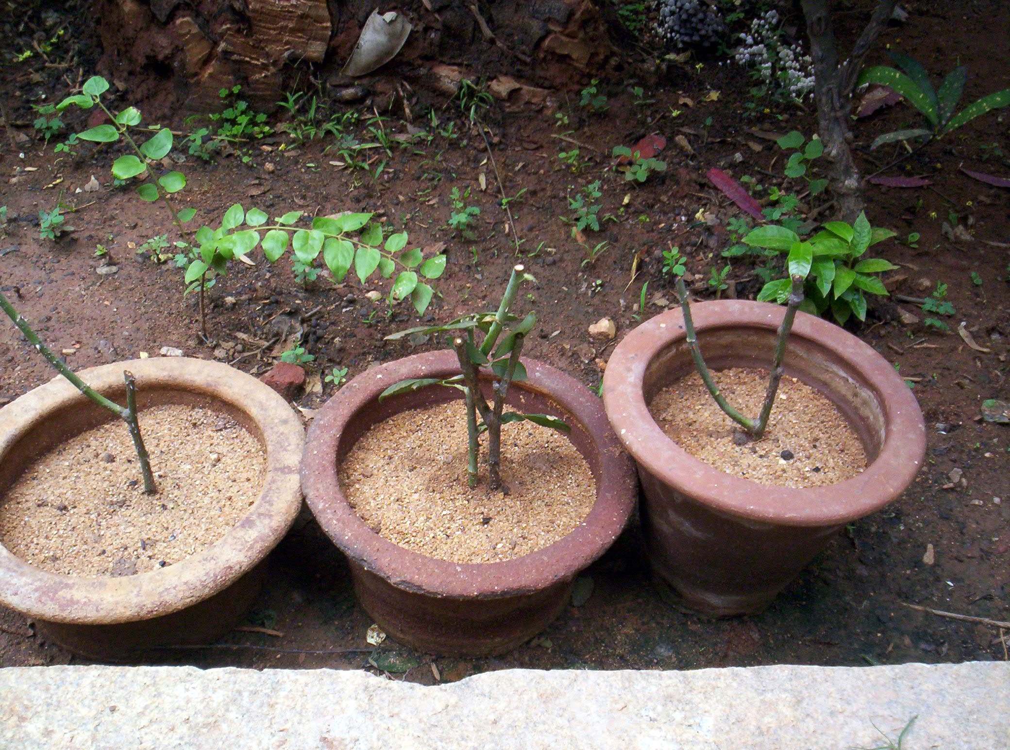 Pots | Potes in Spain