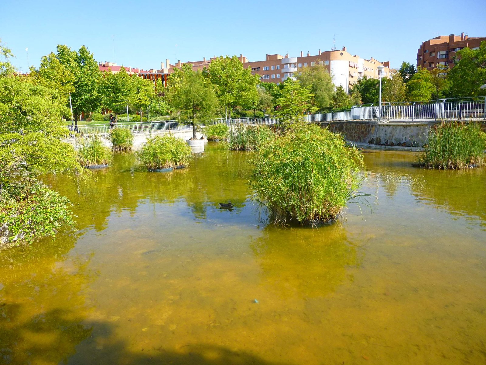 Parque de La Ribota (Alcorcón) | Alcorcón in Spain