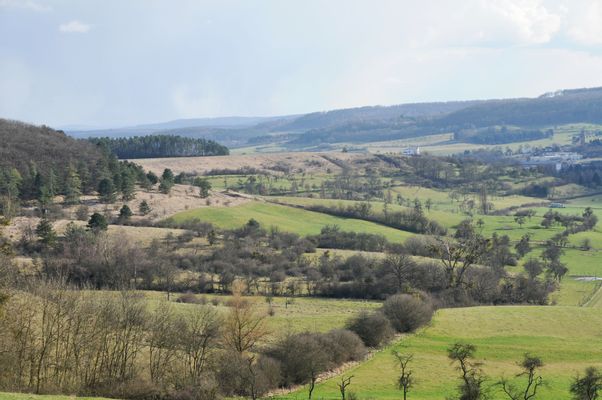 Image of Réserve naturelle Aarnescht in Luxembourg