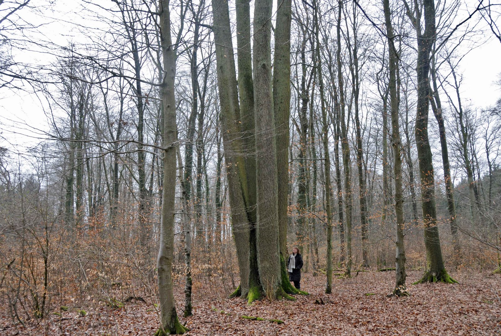 Eech zu Koler. | Kahler in Luxembourg