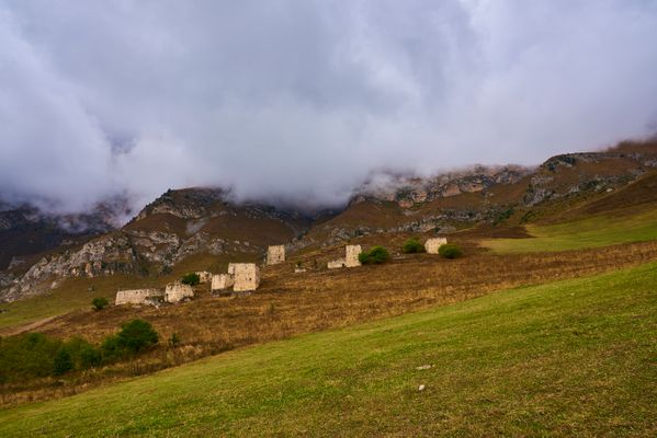 Image of Beyni in Russia