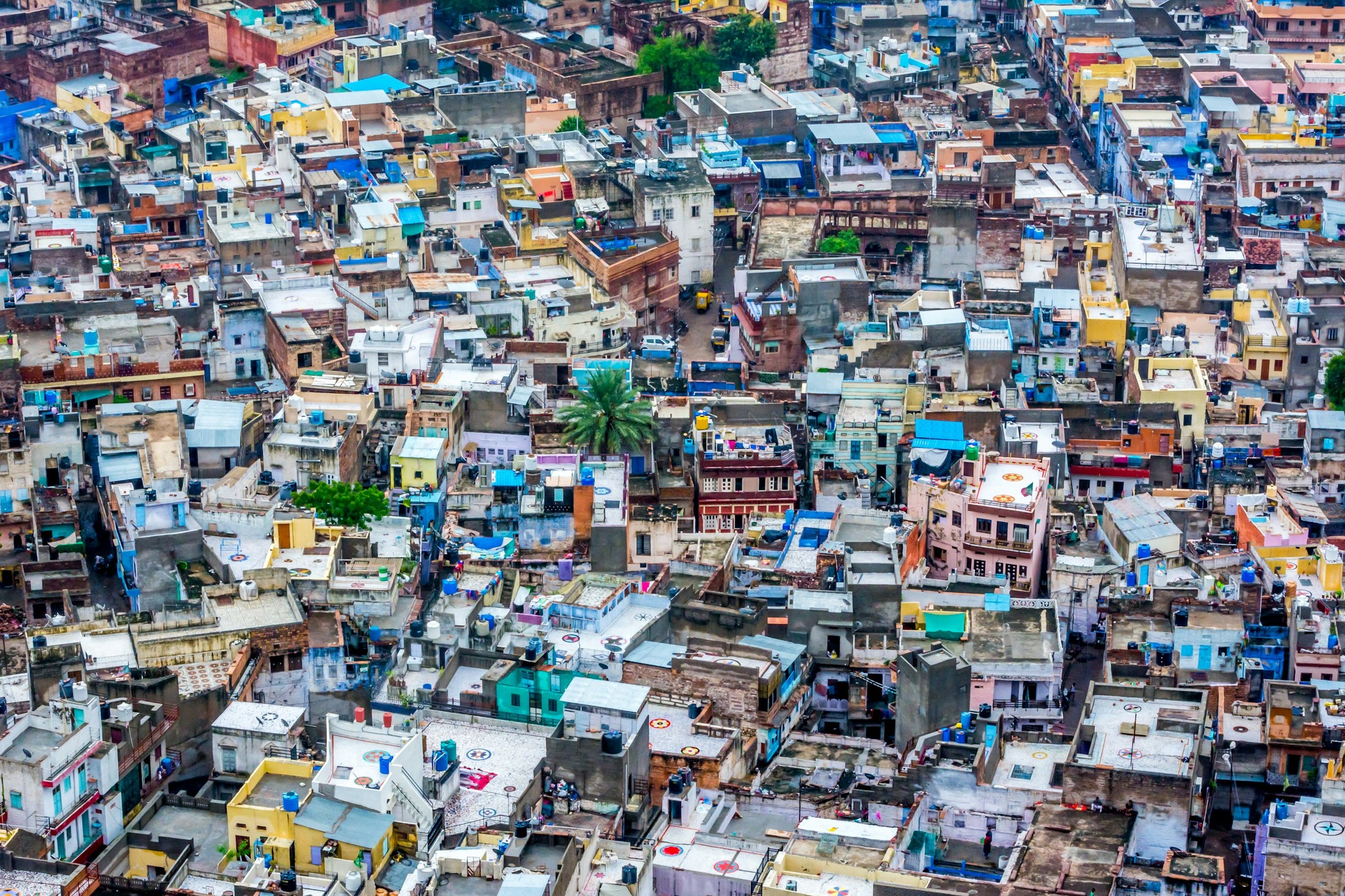 Blue Rooftops in Jodhpur from the Mehrangarh Fort | Jodhpur in India