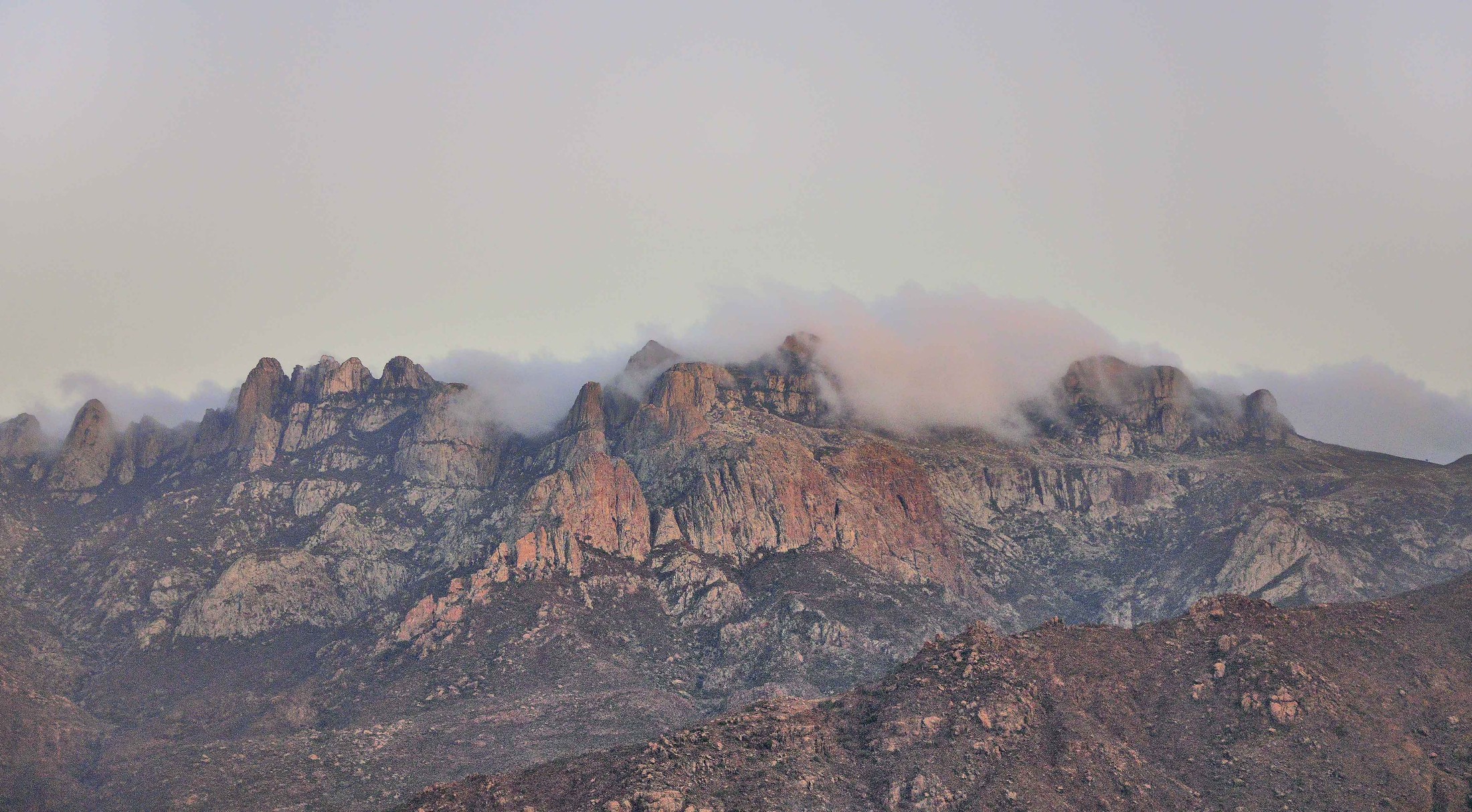 Moisture, Socotra Island. | Socotra in Yemen
