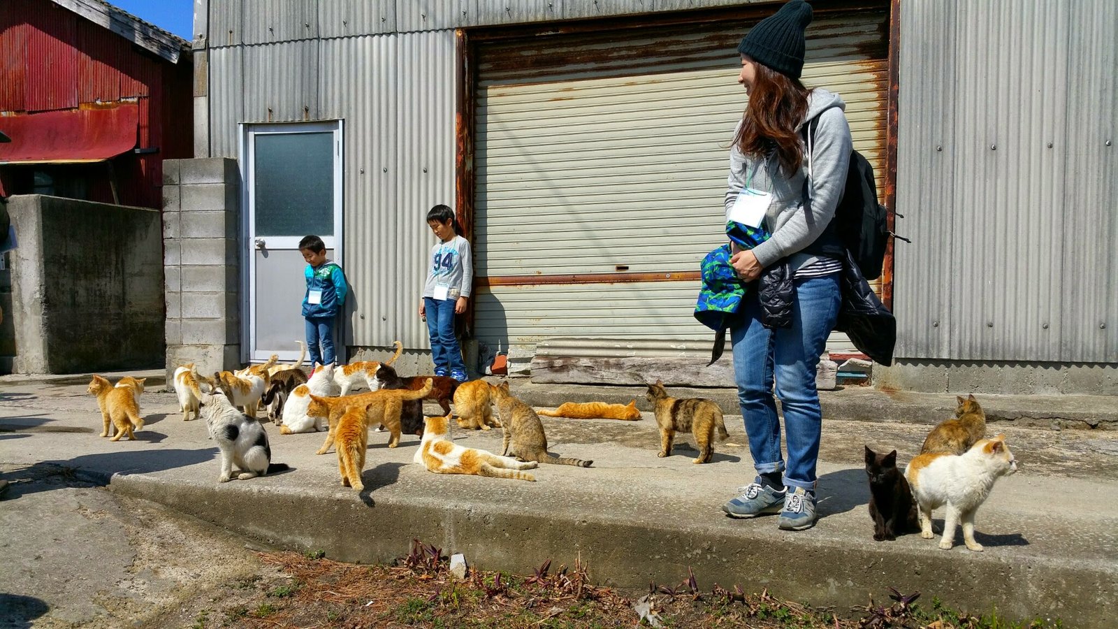 【可愛すぎて猫萌え注意】「通称:猫島」と呼ばれる瀬戸内海の男木島は、まさに猫の楽園です！ | Ogijima in Japan