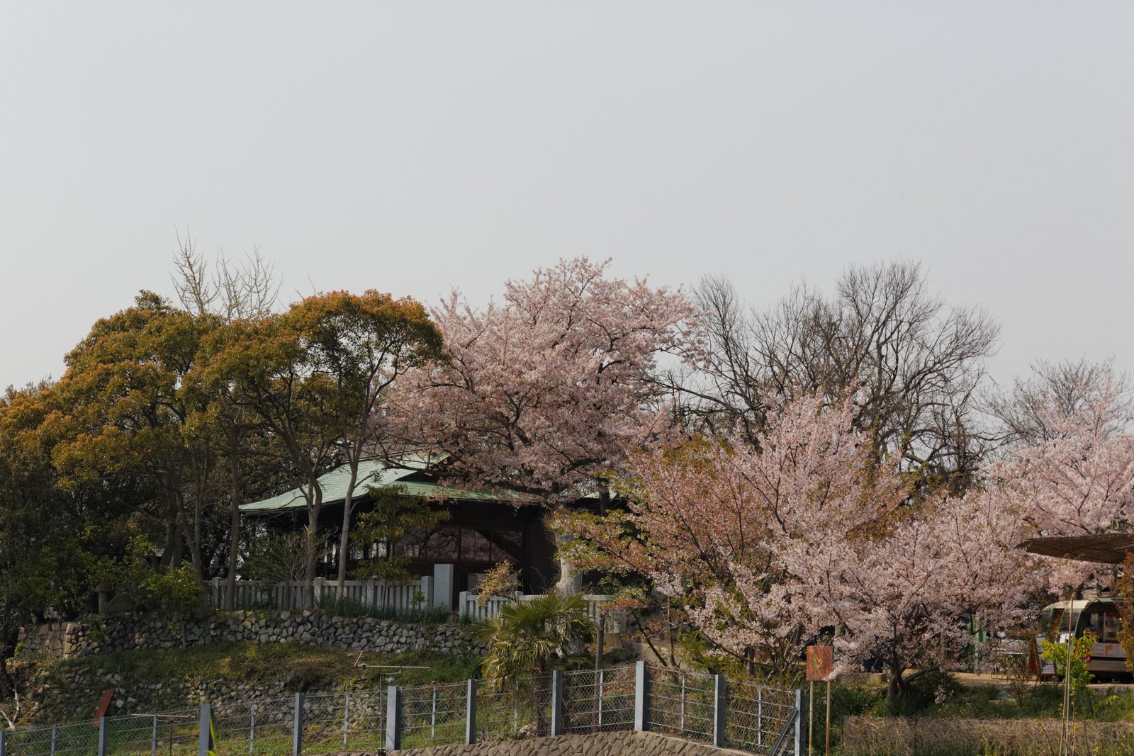 Ogijima 2013-04 | Ogijima in Japan