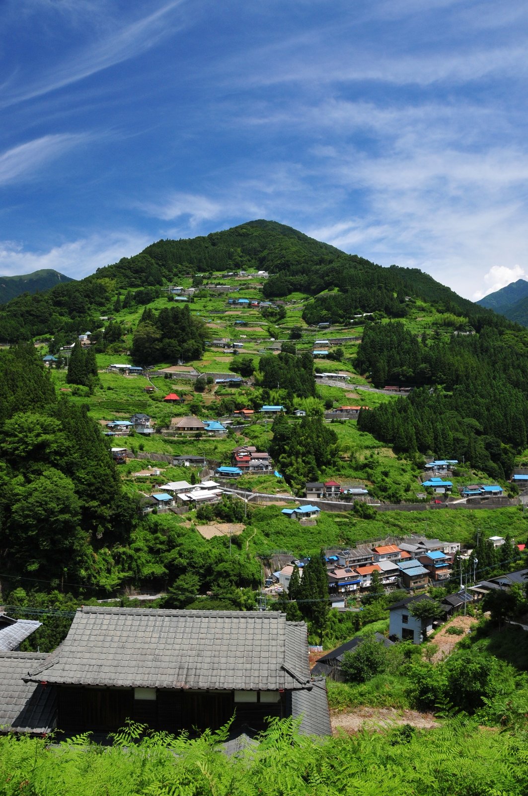 落合集落全景(夏) | Miyoshi in Japan