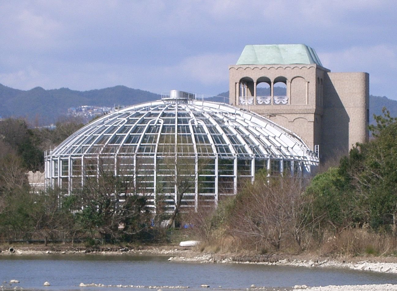 伊丹市昆虫館 | Itami in Japan